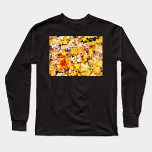 Autumn’s calling 2 Long Sleeve T-Shirt